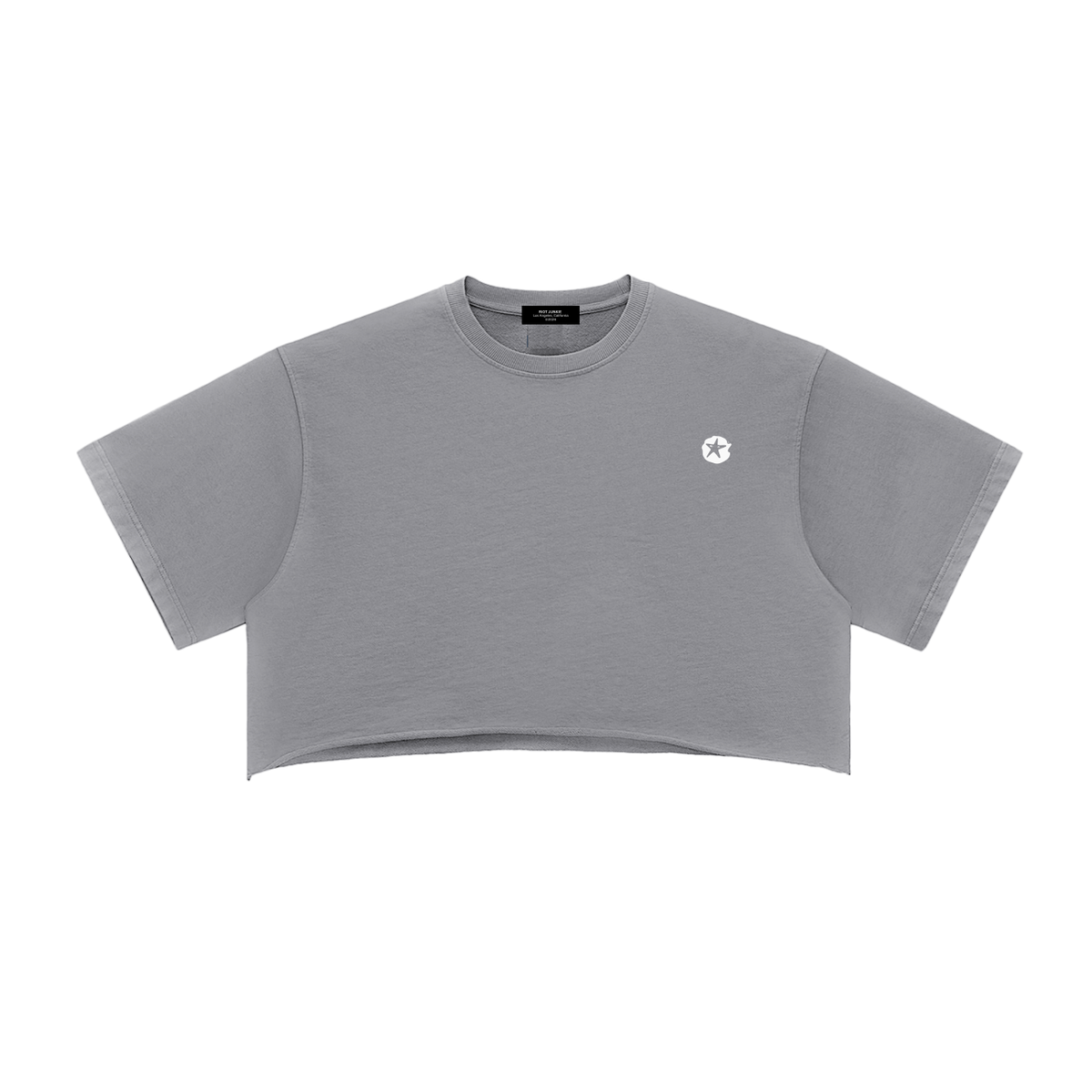 Snow Washed Raw Edge Crop Top