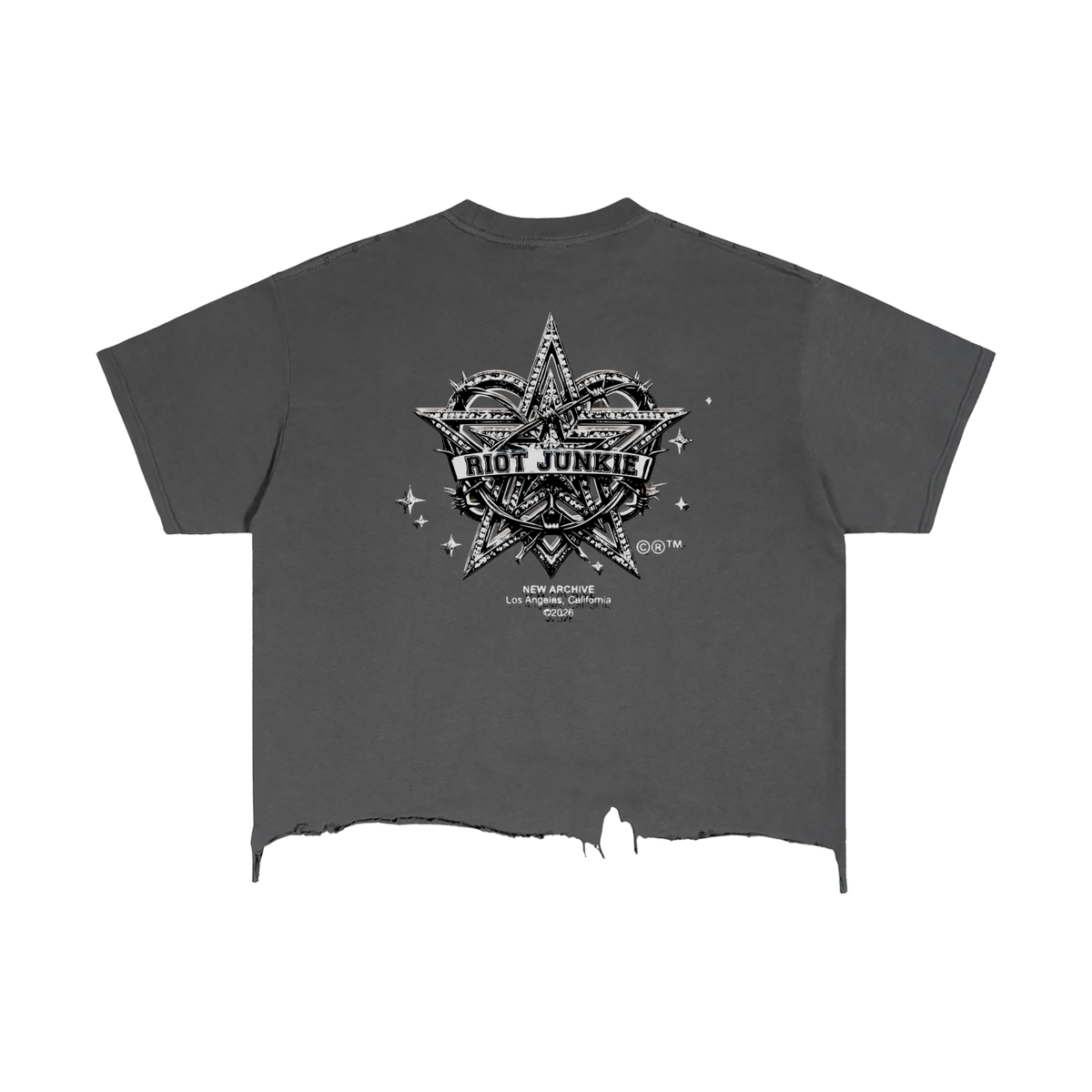 Vintage Wash Boxy Distressed Hem T-Shirt