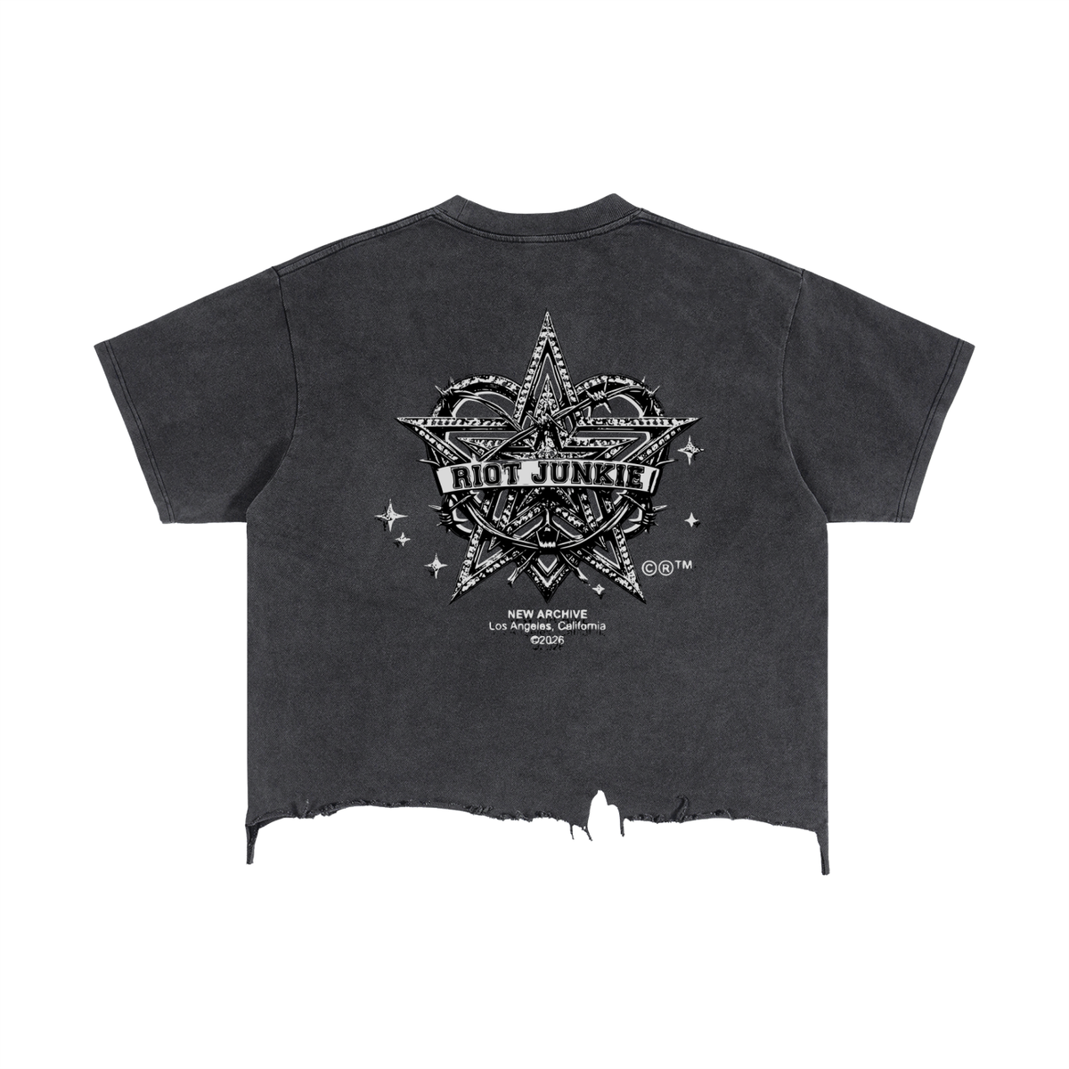 Vintage Wash Boxy Distressed Hem T-Shirt
