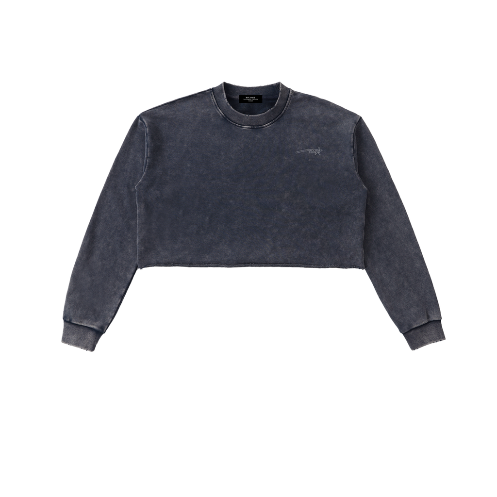 Snow Washed Raw Edge Cropped Sweatshirt