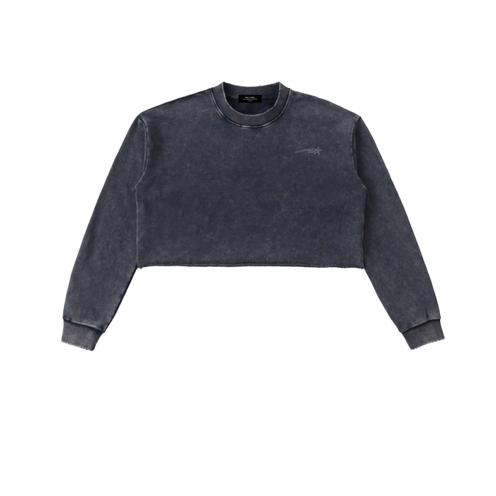 Snow Washed Raw Edge Cropped Sweatshirt